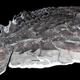 The Borealopelta markmitchelli fossil.